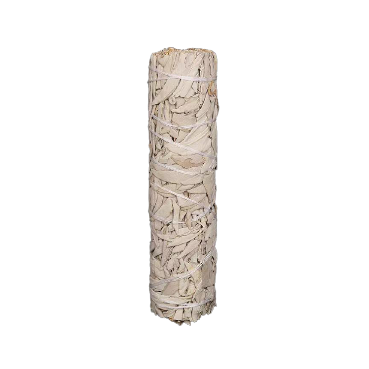 WHITE SAGE - 7 INCHES | 白鼠尾草7寸 100g